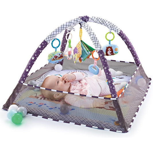 Baby Activity Gym with Ball Pit & Balls