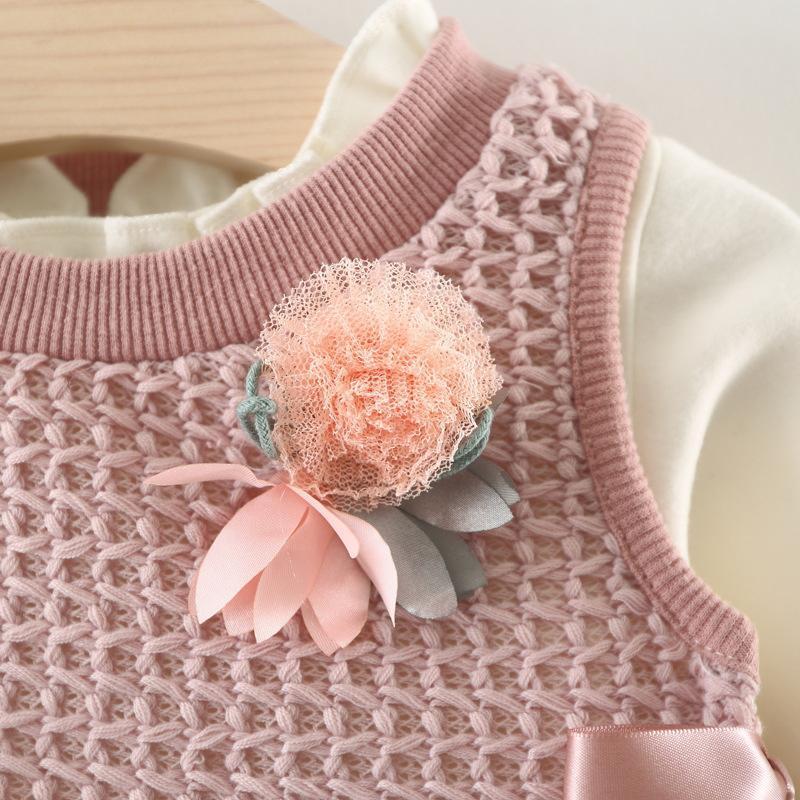 Baby Girl 2-Piece Knit Sweater Vest and Lace Dress Set