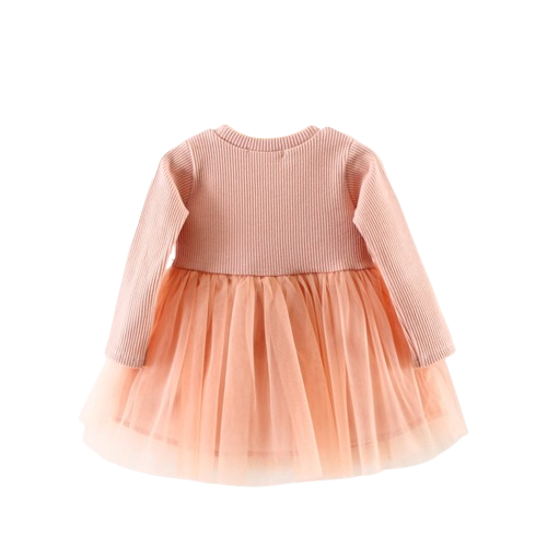 Baby Girl Floral Tulle Dress
