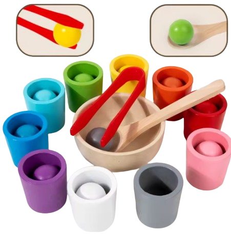 Montessori Wooden Color Matching Toy