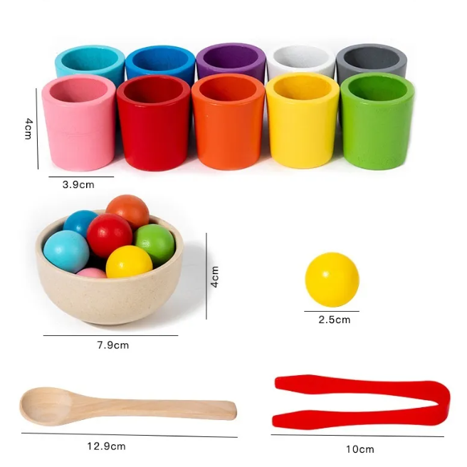 Montessori Wooden Color Matching Toy