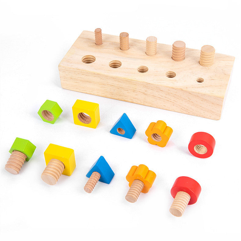 Montessori Wooden Screw Board Toy