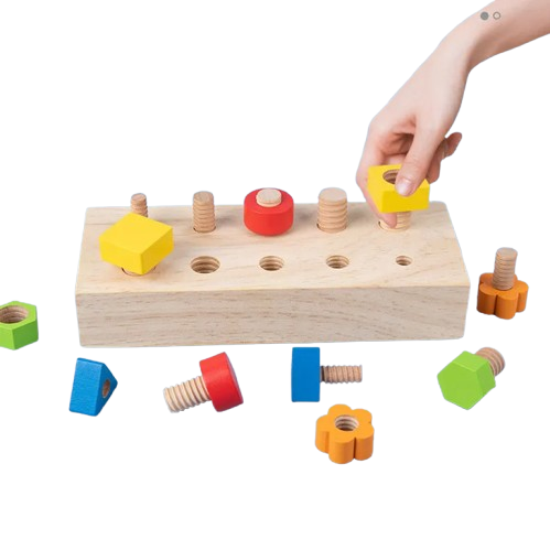 Montessori Wooden Screw Board Toy