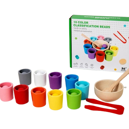 Montessori Wooden Color Matching Toy