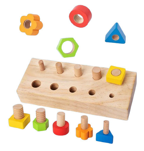 Montessori Wooden Screw Board Toy