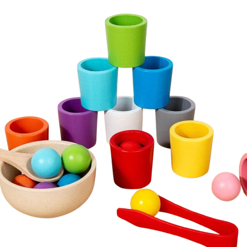 Montessori Wooden Color Matching Toy