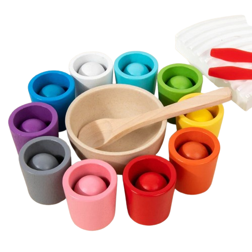 Montessori Wooden Color Matching Toy