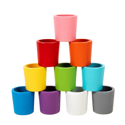 Montessori Wooden Color Matching Toy